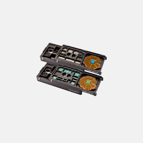 Le forte neuro system